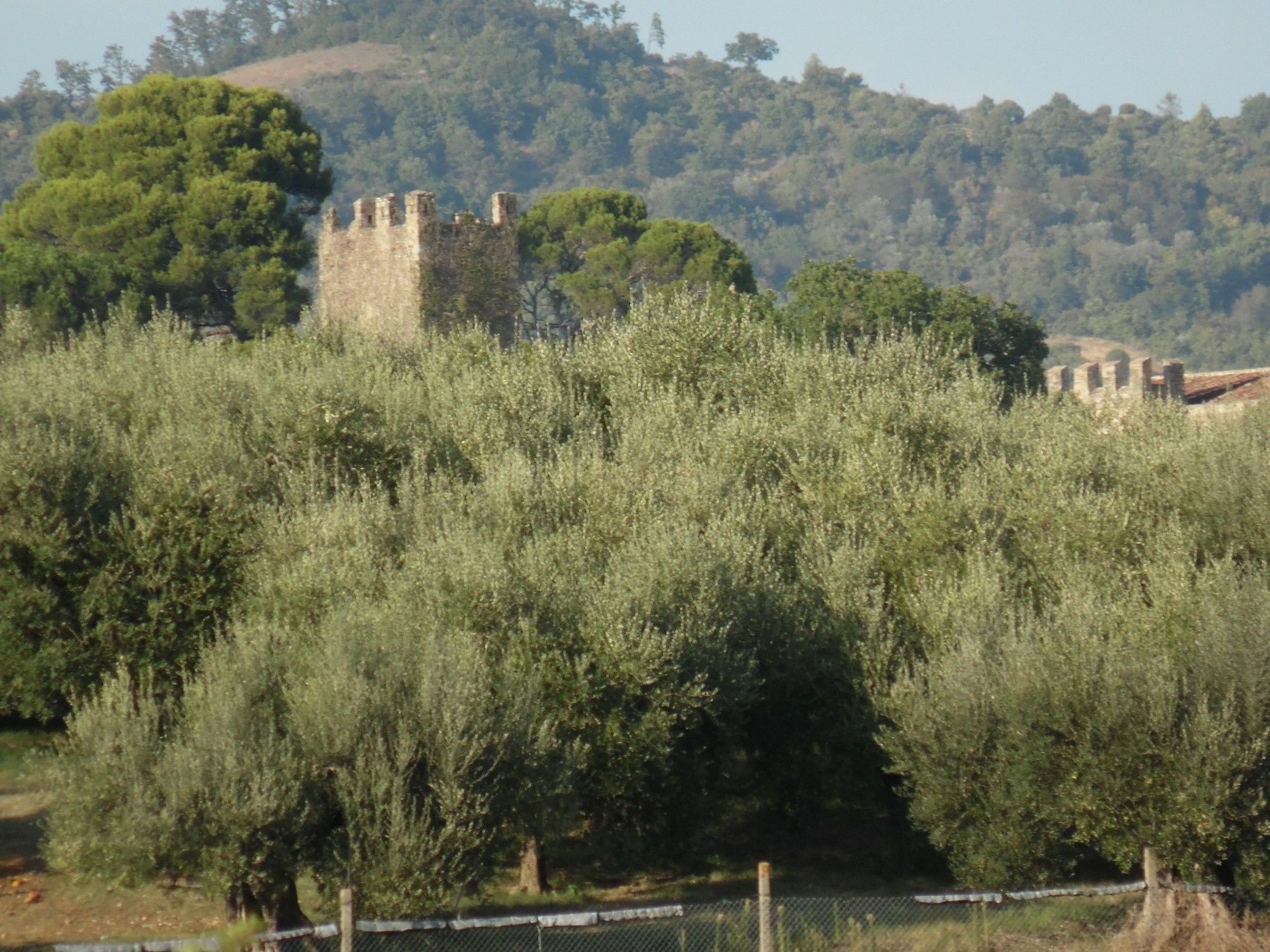 Podere Caldaruccio La Pineta Perugia Exteriör bild