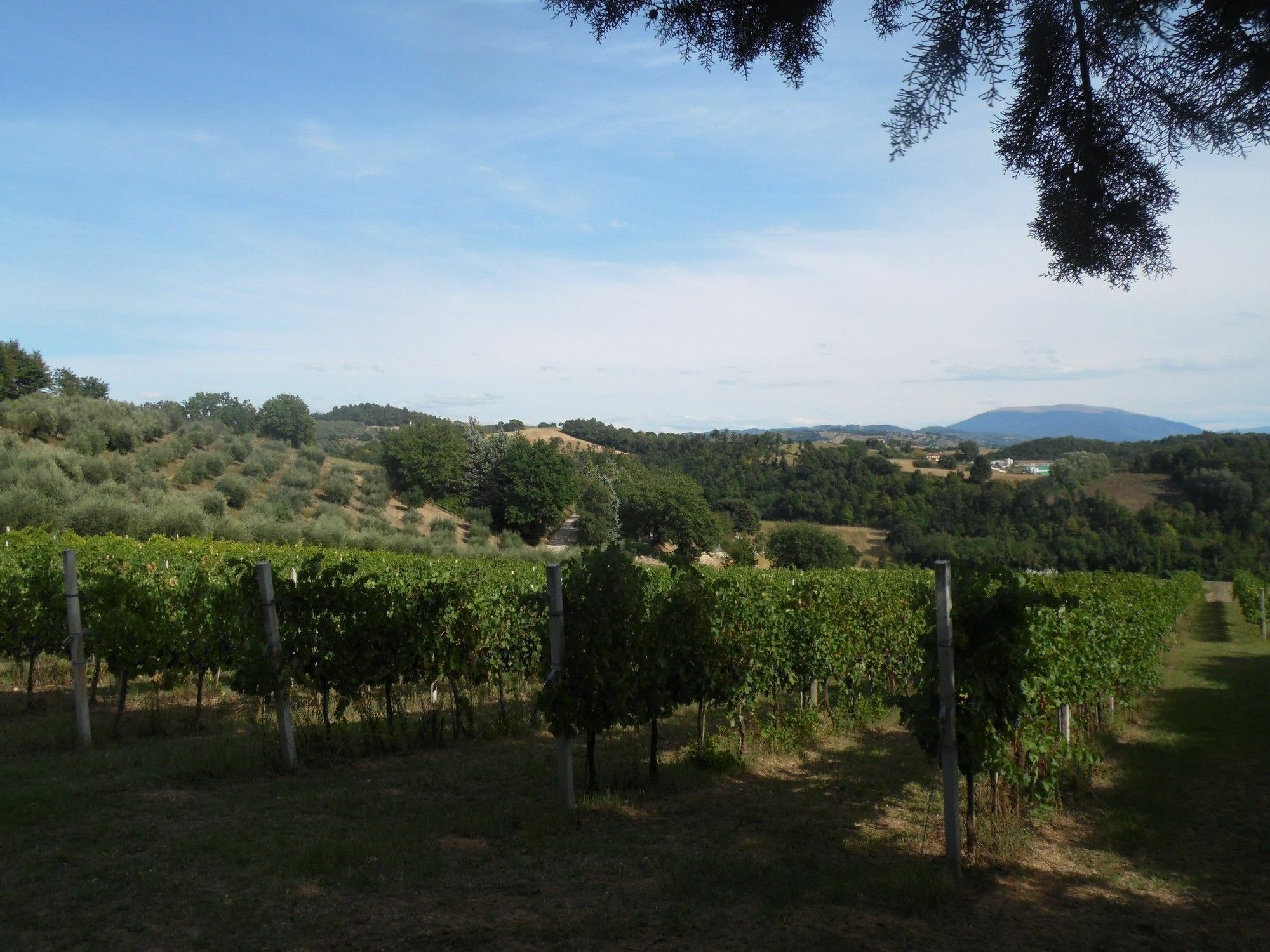 Podere Caldaruccio La Pineta Perugia Exteriör bild